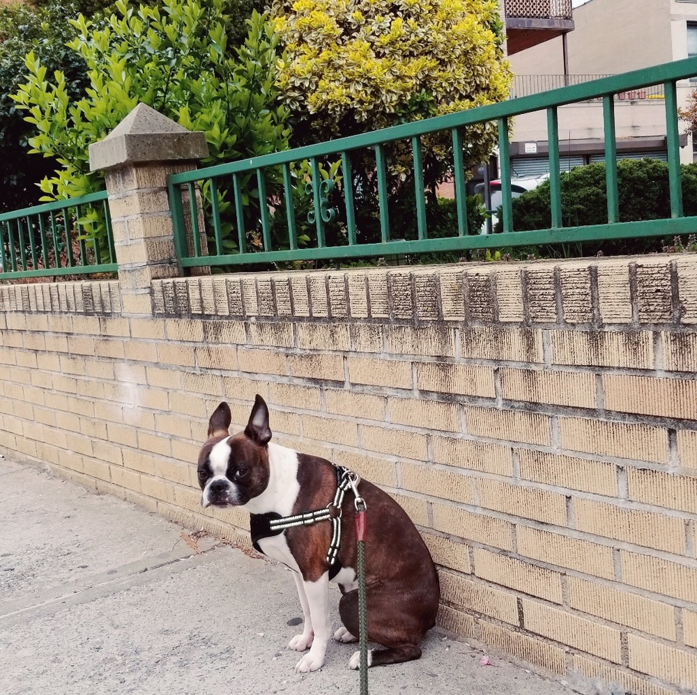 Meet your Posher, Jane